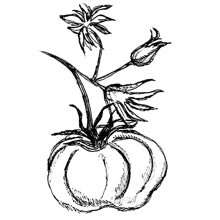//fr.davines.com/cdn/shop/t/27/assets/davines-line-finest-pigment-deco-2.jpg?v=79889010406983862501643729506